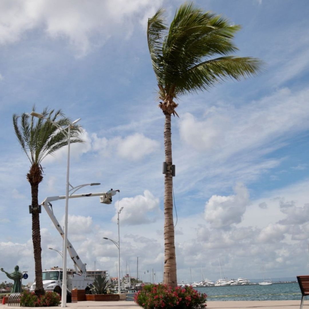 Baja California Sur